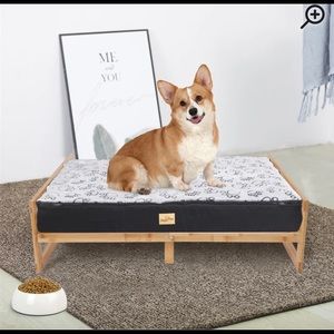 Elevated Dog Bed
